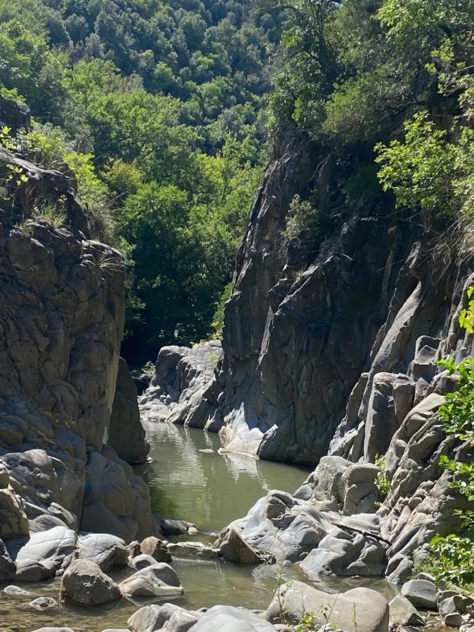 Bed and Breakfast La Colombaia Amiata Арчидоссо Экстерьер фото