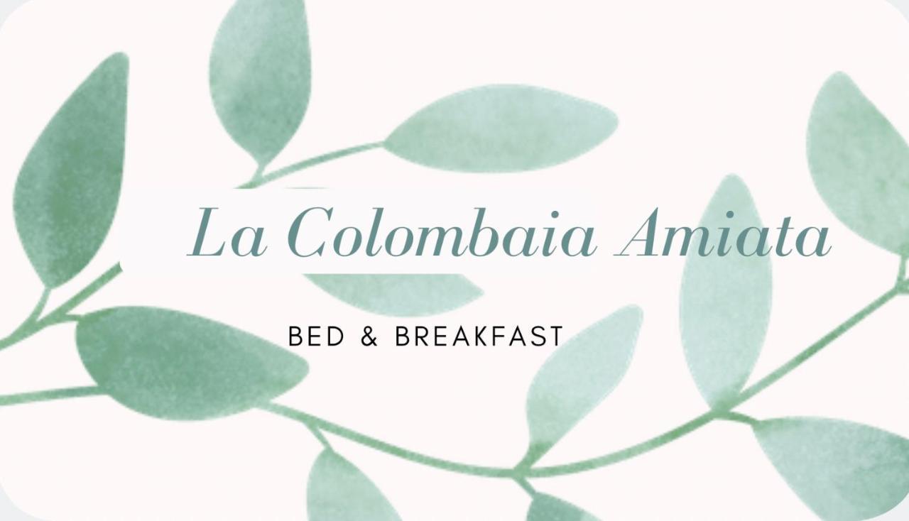 Bed and Breakfast La Colombaia Amiata Арчидоссо Экстерьер фото