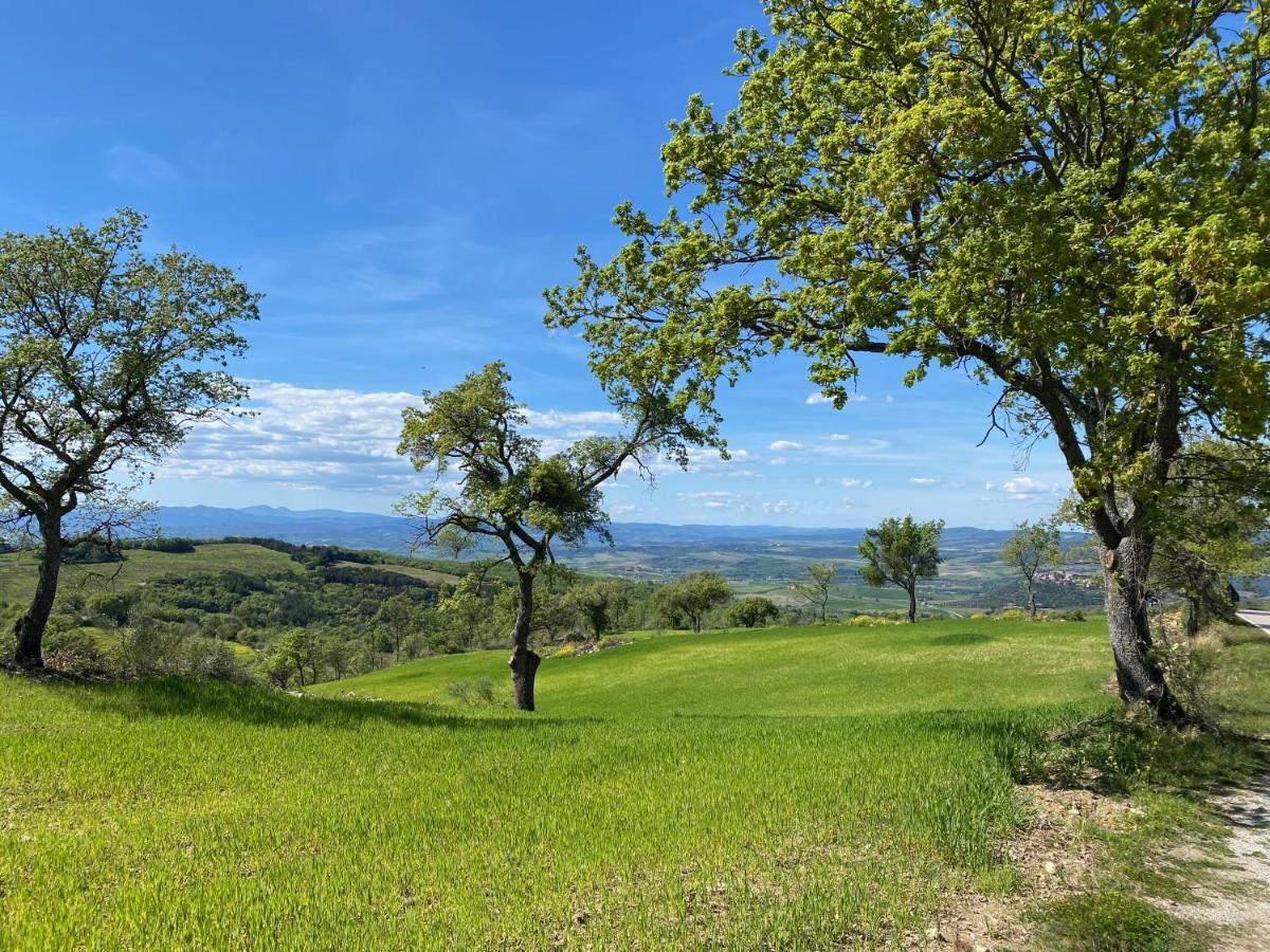 Bed and Breakfast La Colombaia Amiata Арчидоссо Экстерьер фото